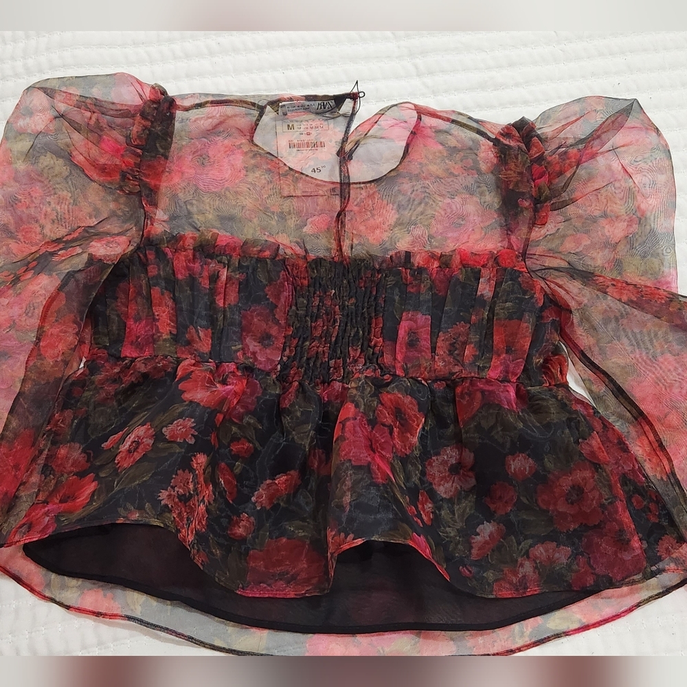 ZARA Organza Top Size M